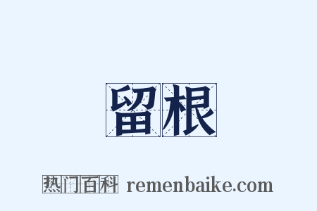 留根是什么意思的图片